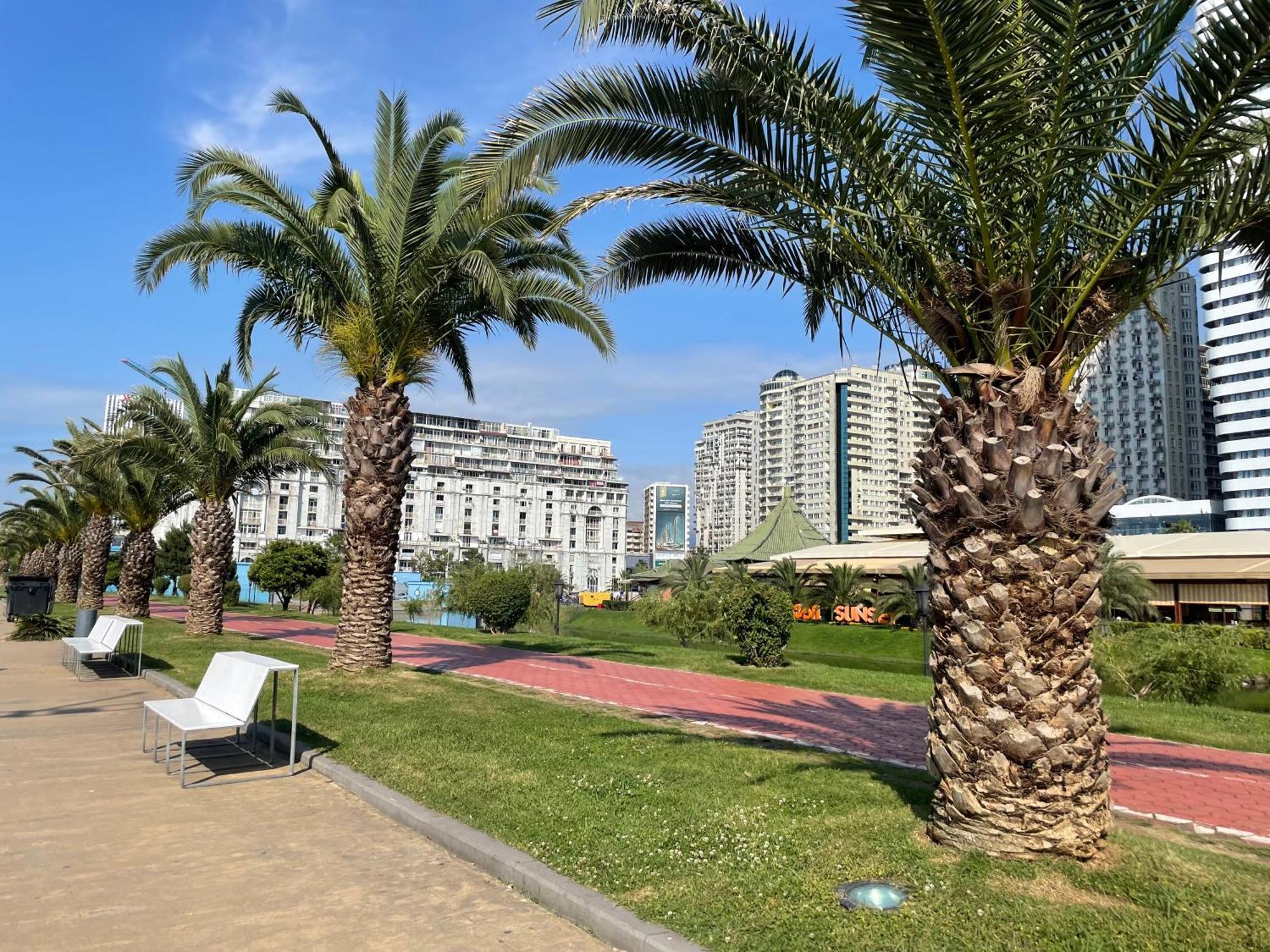Seaside Magnolia * Batumi